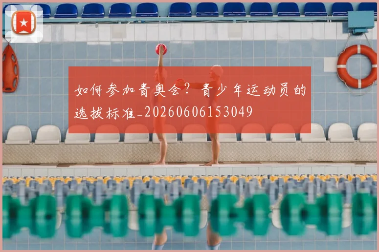 篮球明星的慈善事业：球场外的另一面