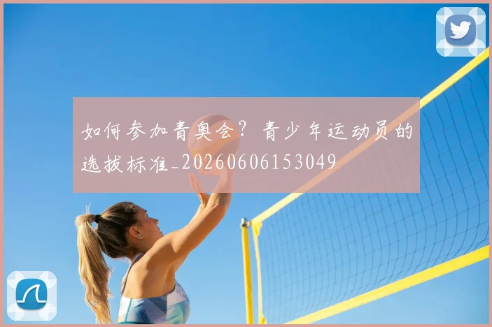 篮球明星的慈善事业：球场外的另一面